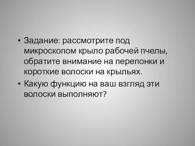 Задание: рассмотрите под микроскопом крыло рабочей пчелы, обратите внимание на