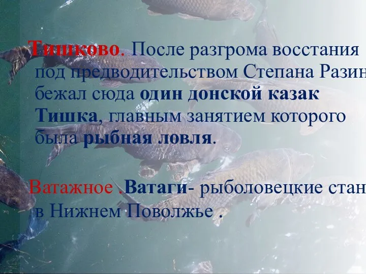 Тишково. После разгрома восстания под предводительством Степана Разина бежал сюда