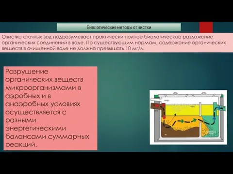 Очистка сточных вод подразумевает практически полное биологическое разложение органических соединений