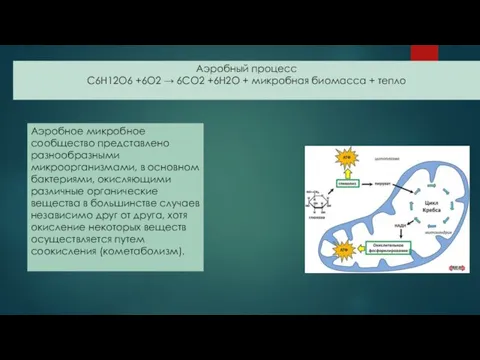 Аэробный процесс С6Н12О6 +6О2 → 6СО2 +6Н2О + микробная биомасса