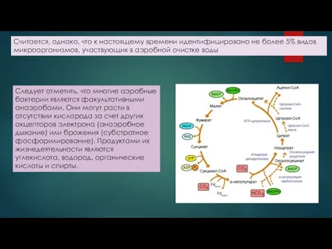 Считается, однако, что к настоящему времени идентифицировано не более 5%