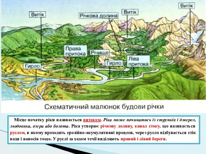 Місце початку ріки називається витоком. Ріка може починатись із струмків