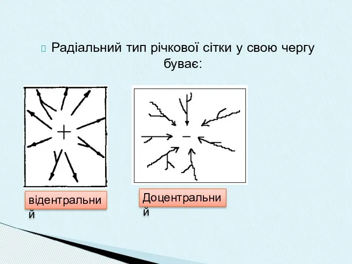 Радіальний тип річкової сітки у свою чергу буває: відентральний Доцентральний