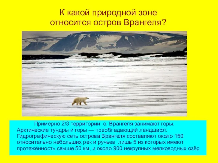 К какой природной зоне относится остров Врангеля? Примерно 2/3 территории