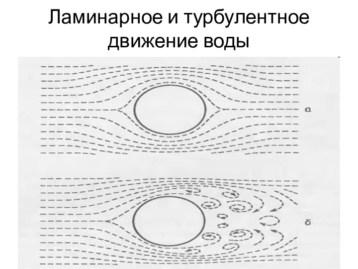 Ламинарное и турбулентное движение воды