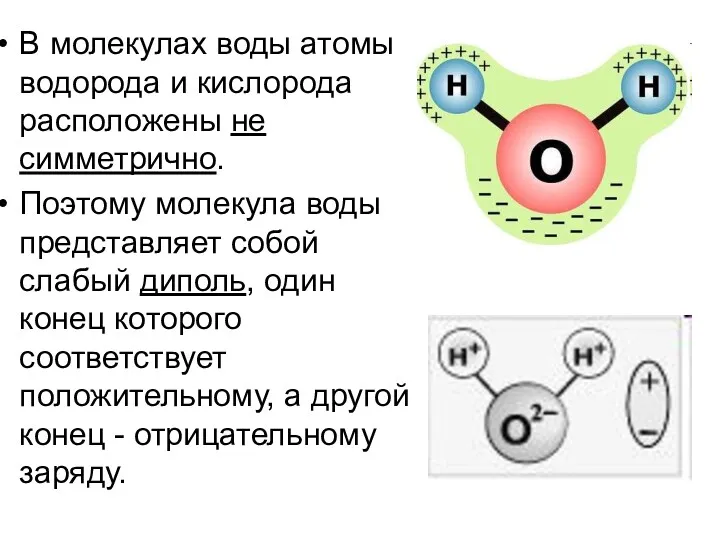 В молекулах воды атомы водорода и кислорода расположены не симметрично.