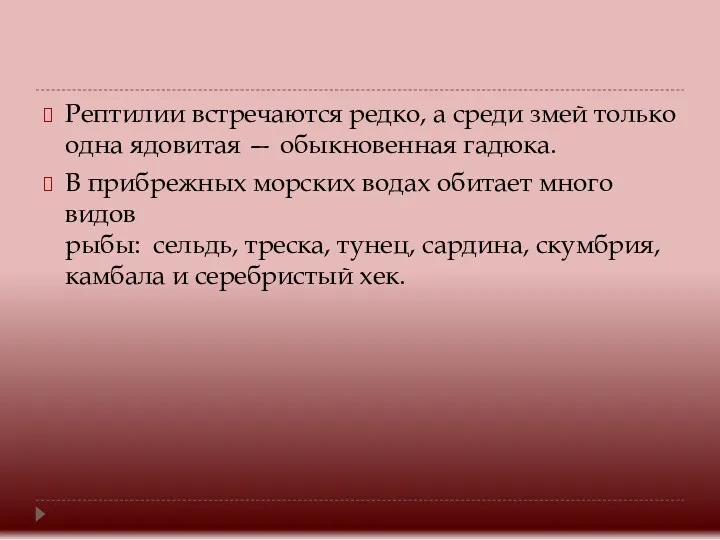 Рептилии встречаются редко, а среди змей только одна ядовитая —