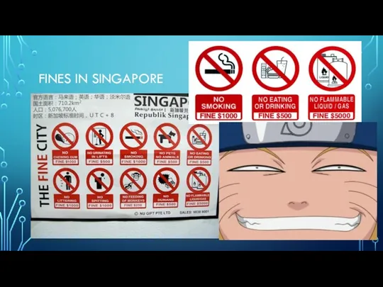 FINES IN SINGAPORE