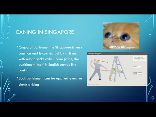 CANING IN SINGAPORE Corporal punishment in Singapore is very common