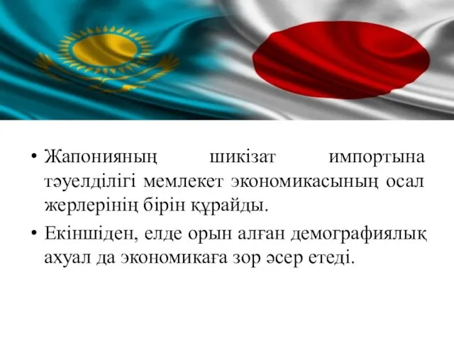 Жапонияның шикізат импортына тәуелділігі мемлекет экономикасының осал жерлерінің бірін құрайды.