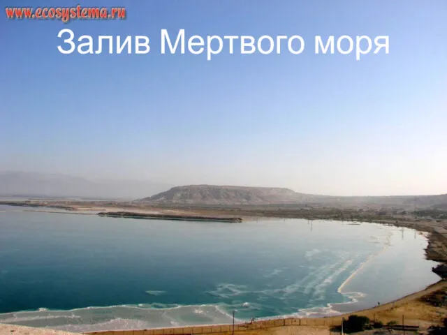 Залив Мертвого моря