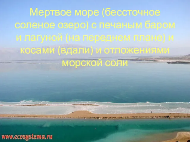 Мертвое море (бессточное соленое озеро) с печаным баром и лагуной (на переднем плане)