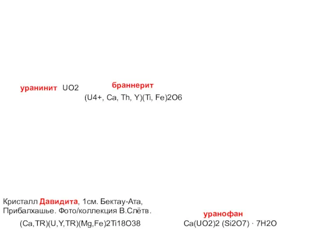 Кристалл Давидита, 1см. Бектау-Ата, Прибалхашье. Фото/коллекция В.Слётв. уранинит браннерит уранофан