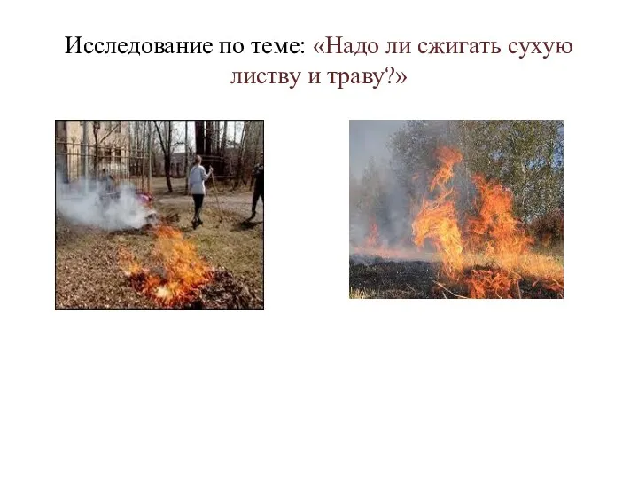 Исследование по теме: «Надо ли сжигать сухую листву и траву?»