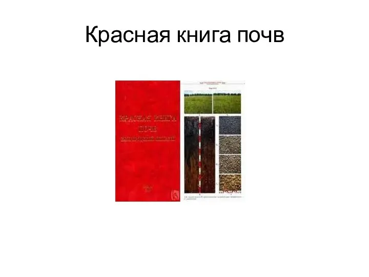 Красная книга почв