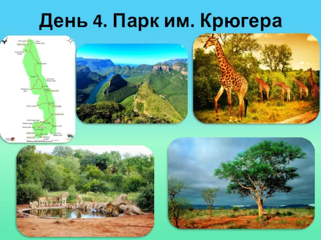 День 4. Парк им. Крюгера