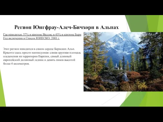 Регион Юнгфрау-Алеч-Бичхорн в Альпах Где находится: 57% в кантоне Валлис