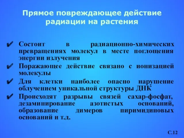 Прямое повреждающее действие радиации на растения Состоит в радиационно-химических превращениях