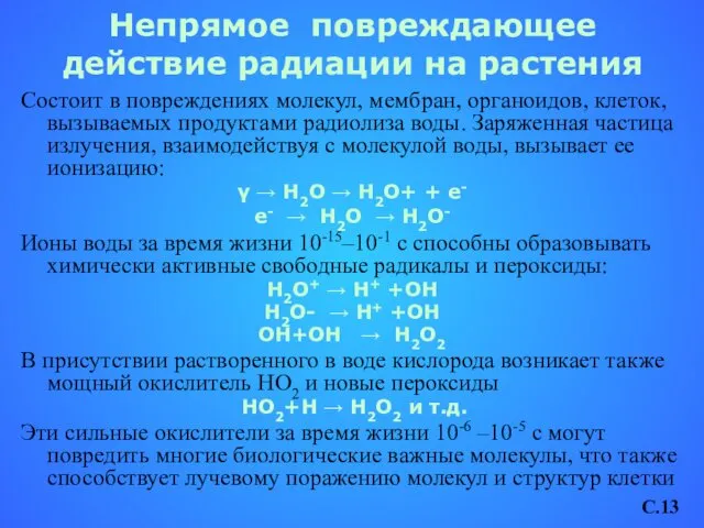 Непрямое повреждающее действие радиации на растения Состоит в повреждениях молекул,