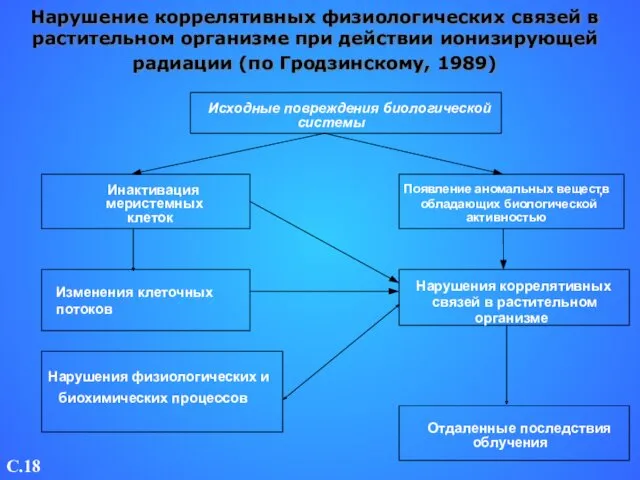 Нарушение коррелятивных физиологических связей в растительном организме при действии ионизирующей радиации (по Гродзинскому, 1989) C.18