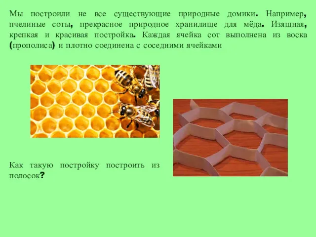 Мы построили не все существующие природные домики. Например, пчелиные соты, прекрасное природное хранилище