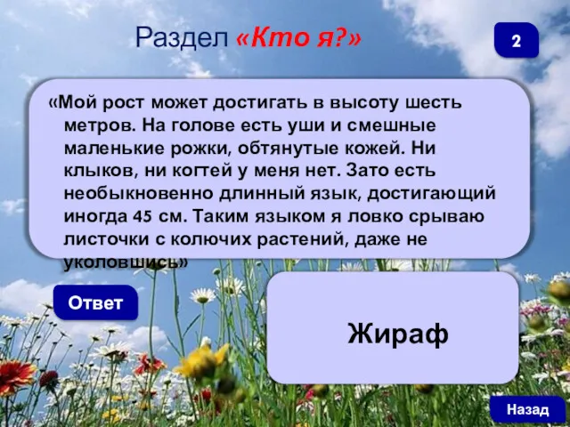 «Мой рост может достигать в высоту шесть метров. На голове