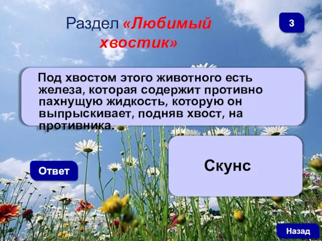 Под хвостом этого животного есть железа, которая содержит противно пахнущую жидкость, которую он