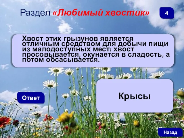 Хвост этих грызунов является отличным средством для добычи пищи из