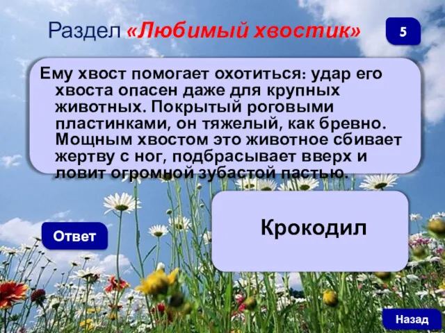 Ему хвост помогает охотиться: удар его хвоста опасен даже для крупных животных. Покрытый