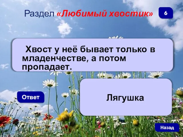 Хвост у неё бывает только в младенчестве, а потом пропадает. Ответ Раздел «Любимый