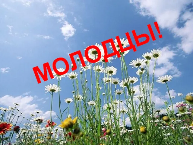 МОЛОДЦЫ!