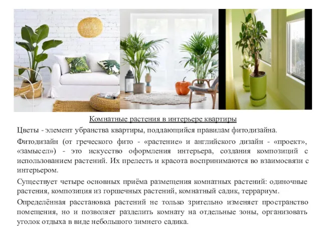 Комнатные растения в интерьере квартиры Цветы - элемент убранства квартиры, поддающийся правилам фитодизайна.
