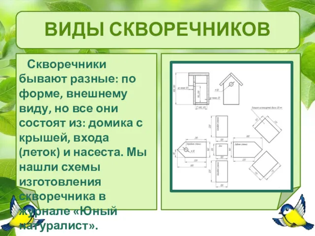 ВИДЫ СКВОРЕЧНИКОВ Скворечники бывают разные: по форме, внешнему виду, но