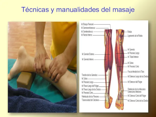 Técnicas y manualidades del masaje