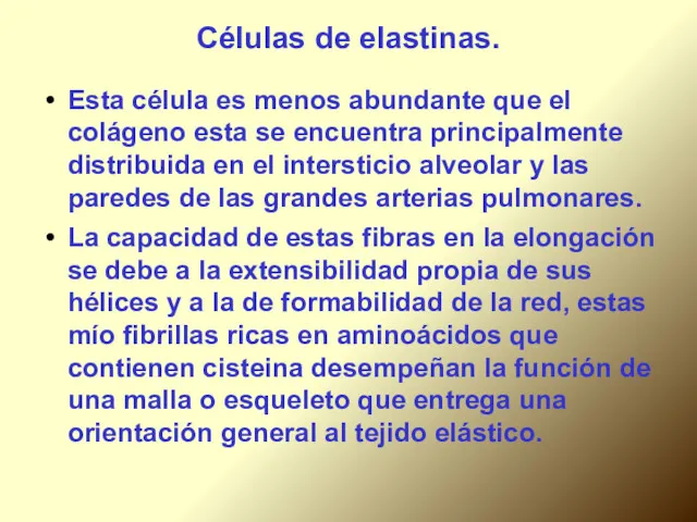 Células de elastinas. Esta célula es menos abundante que el