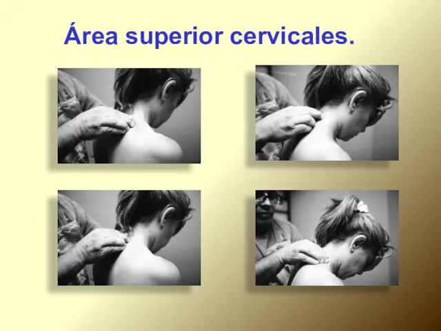 Área superior cervicales.