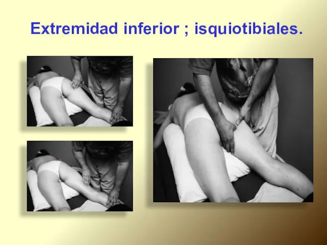 Extremidad inferior ; isquiotibiales.