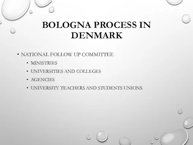 BOLOGNA PROCESS IN DENMARK NATIONAL FOLLOW UP COMMITTEE MINISTRIES UNIVERSITIES