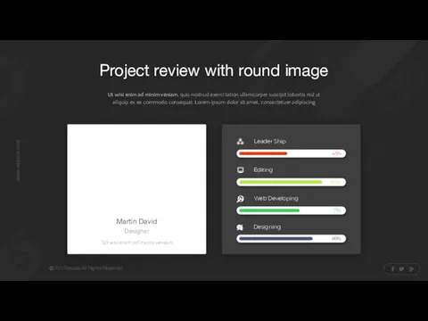 Project review with round image Ut wisi enim ad minim