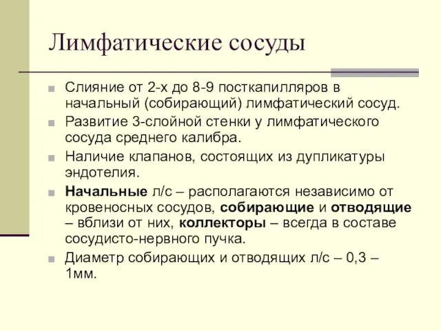 Лимфатические сосуды Слияние от 2-х до 8-9 посткапилляров в начальный