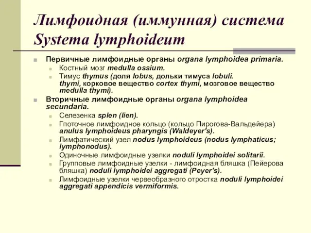 Лимфоидная (иммунная) система Systema lymphoideum Первичные лимфоидные органы organa lymphoidea