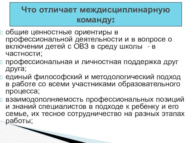 Что отличает междисциплинарную команду: общие ценностные ориентиры в профессиональной деятельности