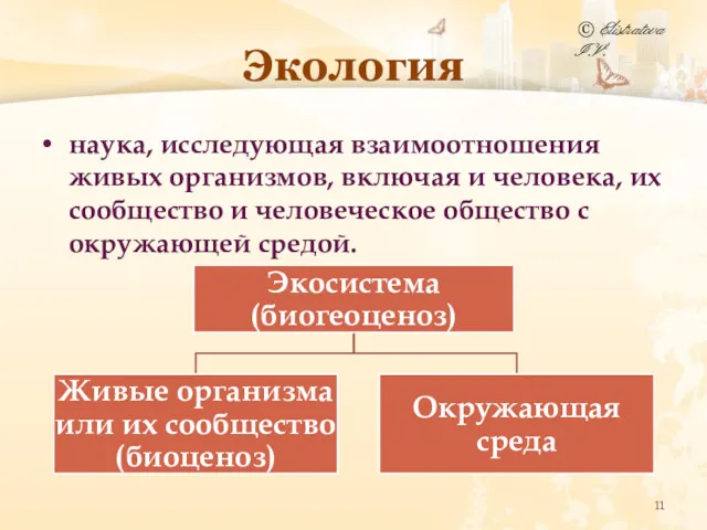 Экология наука, исследующая взаимоотношения живых организмов, включая и человека, их