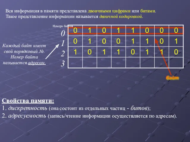 Вся информация в памяти представлена двоичными цифрами или битами. Такое