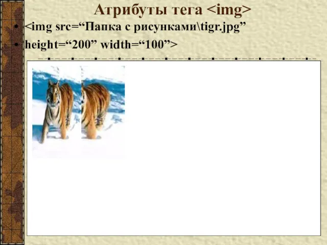 Атрибуты тега height=“200” width=“100”>