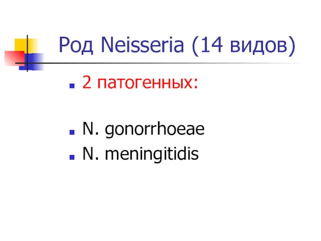 Род Neisseria (14 видов) 2 патогенных: N. gonorrhoeae N. meningitidis