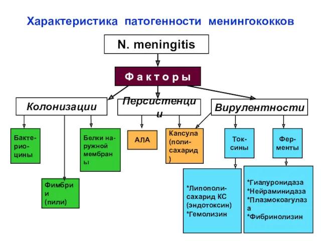 Характеристика патогенности менингококков N. meningitis Ф а к т о р ы Колонизации