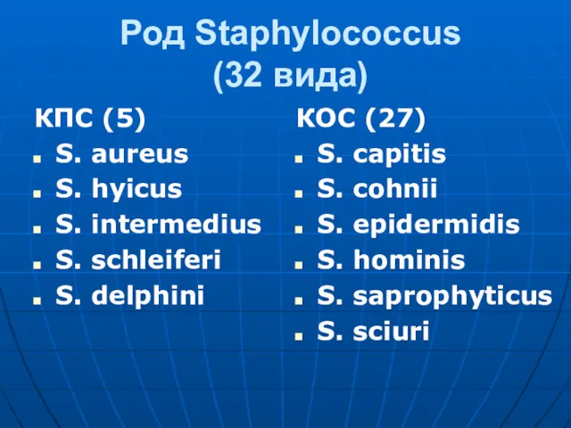 Род Staphylococcus (32 вида) КПС (5) S. aureus S. hyicus S. intermedius S.
