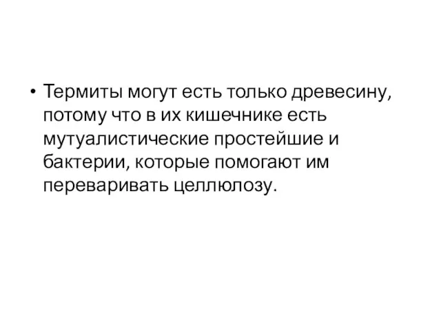 Термиты могут есть только древесину, потому что в их кишечнике