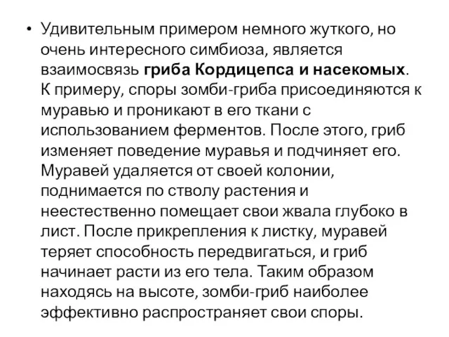 Удивительным примером немного жуткого, но очень интересного симбиоза, является взаимосвязь